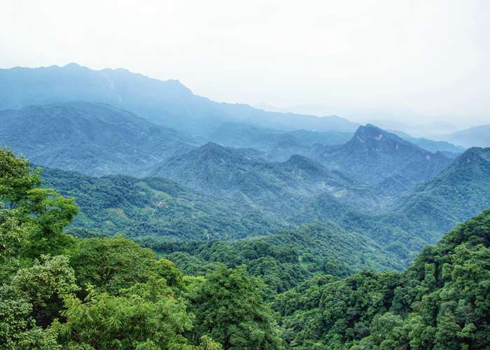 南充租大巴到成都，一天要花多少钱？老司机给你算笔明白账！-第2张图片-成都租车公司